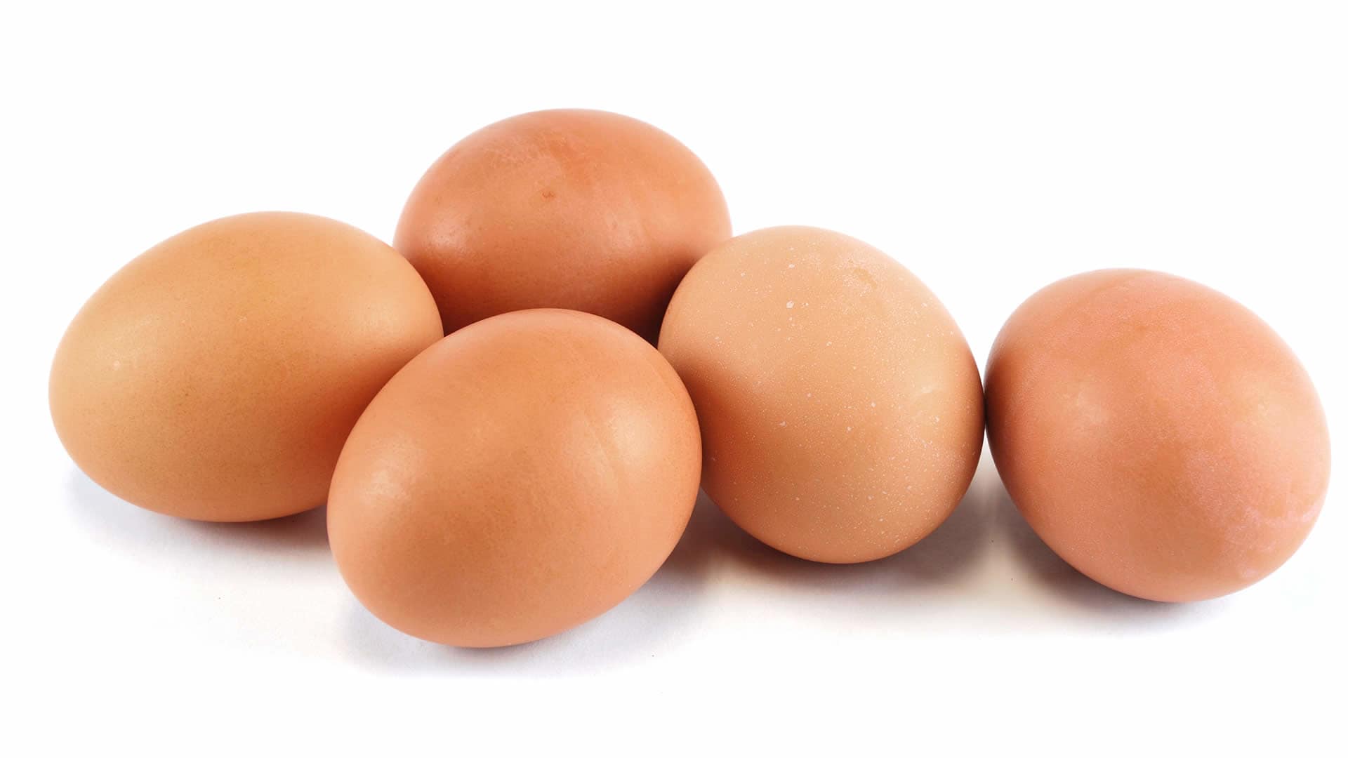La Gestione Delle Uova Da Parte Degli Osa Un Affascinante Diatriba Isq Alimenti