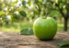 Dichiarazione Nutrizionale: alimenti esclusi