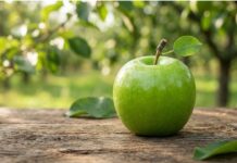 Dichiarazione Nutrizionale: alimenti esclusi