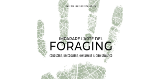 Imparare l’arte del Foraging