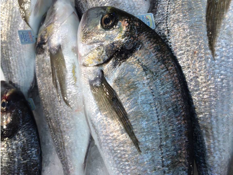 Come scegliere il pesce fresco: i consigli dell'esperto per non farsi  ingannare - ISQ alimenti
