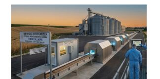 Il Grano del Futuro